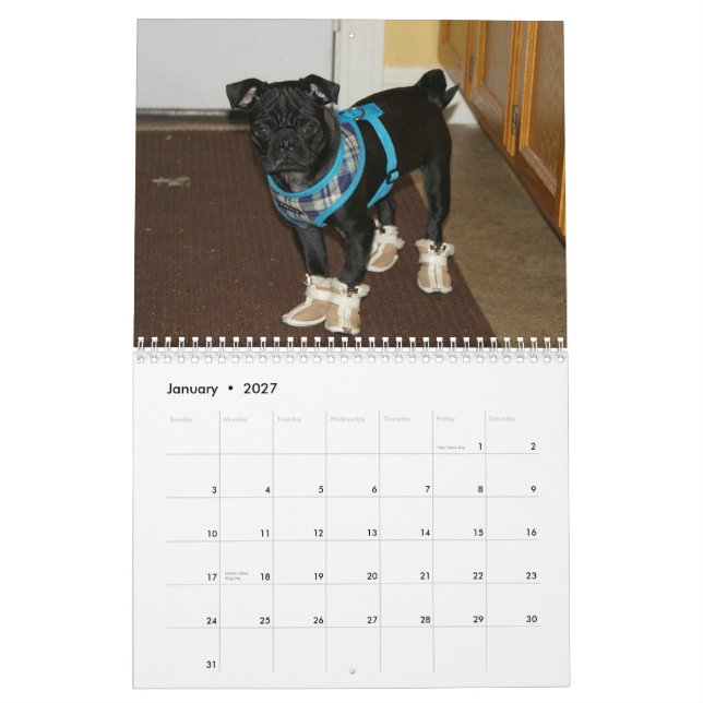 2012 Pug Calendar (Jan 2027)