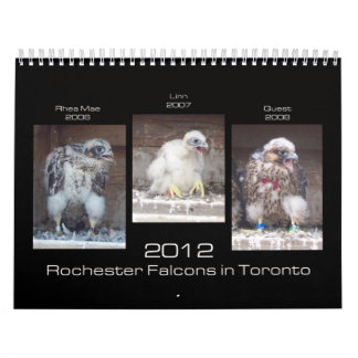 2012 Rochester Falcons in Toronto Calendar