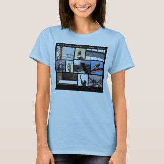 2012 Rochester Peregrine Falcon Female T Shirt