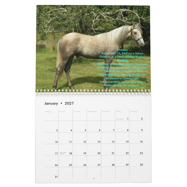2012 RTR Horses Calendar (Jan 2027)