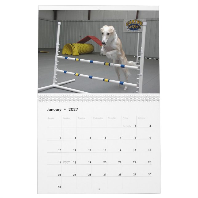 2012 Silken Windhounds In Action calendar (Jan 2027)