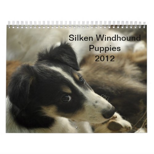 2012 Silken Windhounds Puppies 2 Calendar