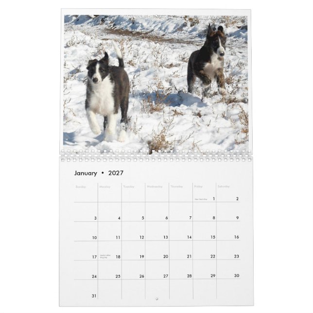 2012 Silken Windhounds Puppies 2 Calendar (Jan 2027)