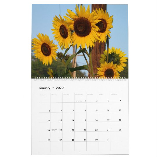 2012 Sunflower Calendar | Zazzle.com