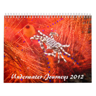 2012 Underwater Journeys Marine Life Calendar