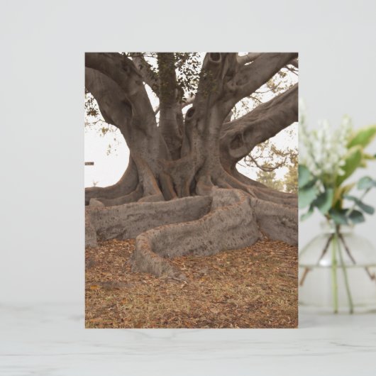 20130615_cal13_0249.jpg (Standing Front)