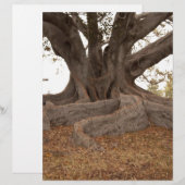 20130615_cal13_0249.jpg (Front/Back)