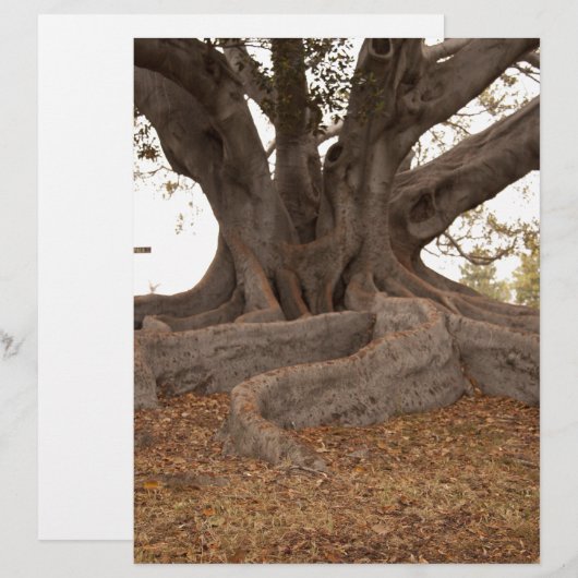 20130615_cal13_0249.jpg (Front/Back)