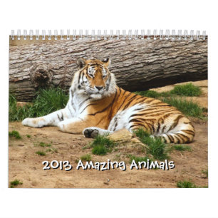2013 Amazing Animals Wild Animal 12 Month Calendar