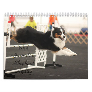 2013 Australian Shepherd Agility Calendar