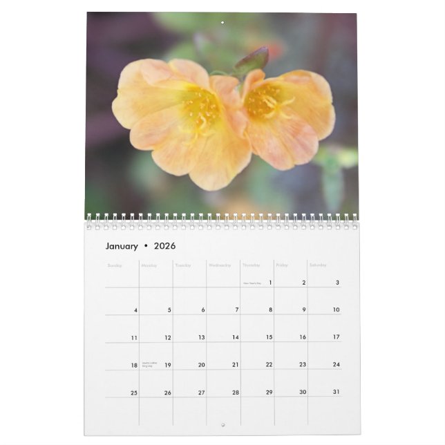 2013 beautiful flowers photography calender calendar (Jan 2026)