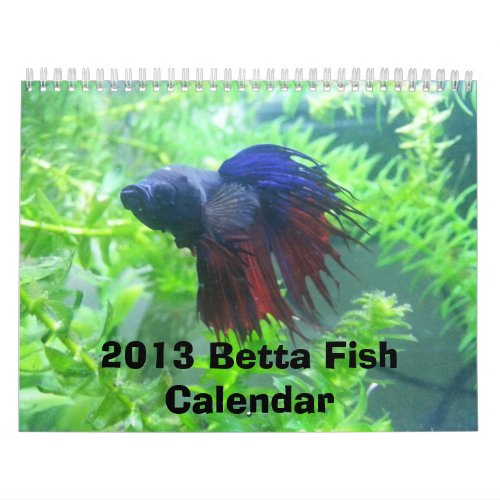 2013 Betta Fish Calendar