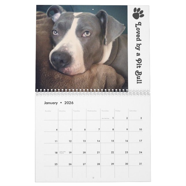 2013 Blu & Sinatra Calendar (Jan 2026)