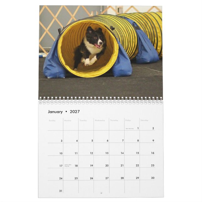 2013 Border Collie Agility Calendar (Jan 2027)