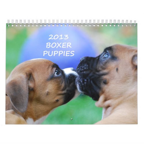 2013 Boxer Puppy Calendar