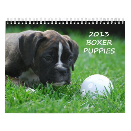 2013 Boxer Puppy Calendar