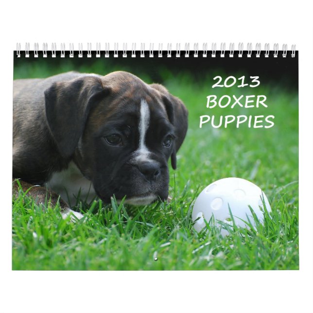 2013 Boxer Puppy Calendar (Cover)