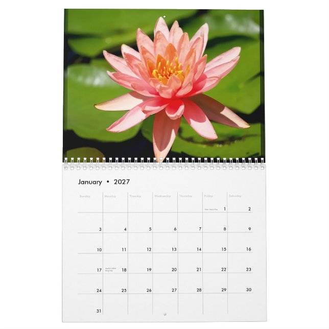 2013 calendar (Jan 2027)