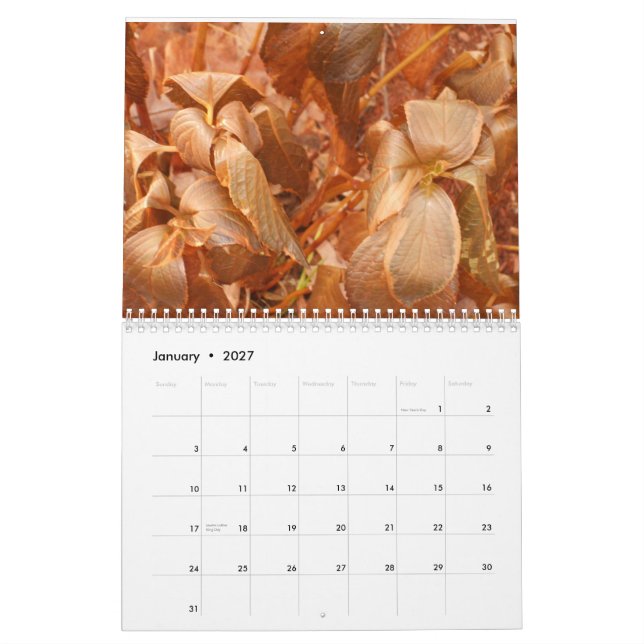 2013 calendar (Jan 2027)