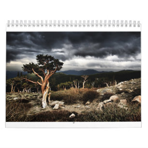 2013 calendar by TylerJphoto