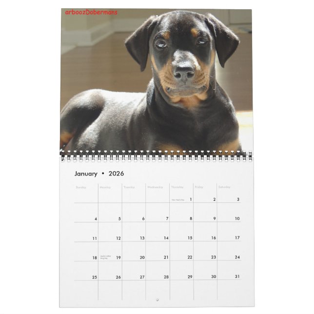 2013 calendar. calendar (Jan 2026)