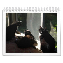 2013 Calendar - Five Fine Felines