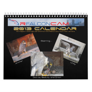 2013 Calendar - Main Cam Pictures