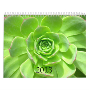 2013 Calendar - Nature