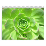 2013 Calendar  - Nature at Zazzle