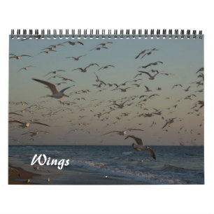 2013 Calendar - Wings