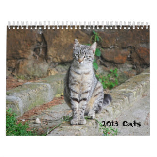 2013 Cat Calendar