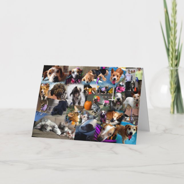 2013 Christmas Card (Front)