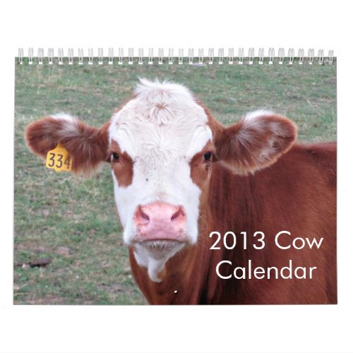 2013 Cow Calendar