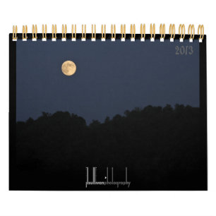 2013 Critters & Bugs Wall Calendar