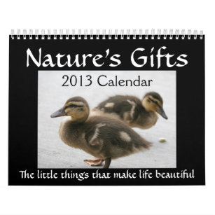 2013 Cute Animals Calendar