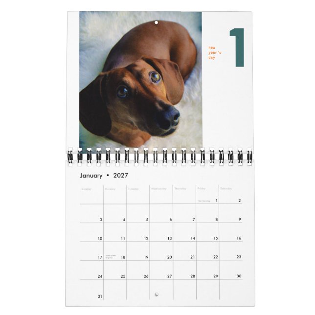 2013 Dachshund Calendar - tiny chumley (Jan 2027)
