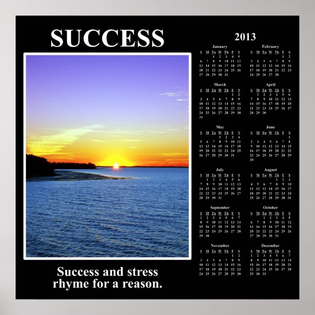 2013 Demotivational Calendar: Meaning of Success Poster (Front)
