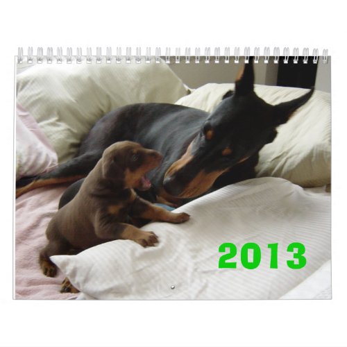 2013 Doberman Calendar
