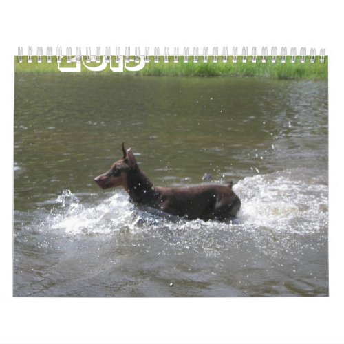 2013 Doberman Calendar_revised Feb Calendar