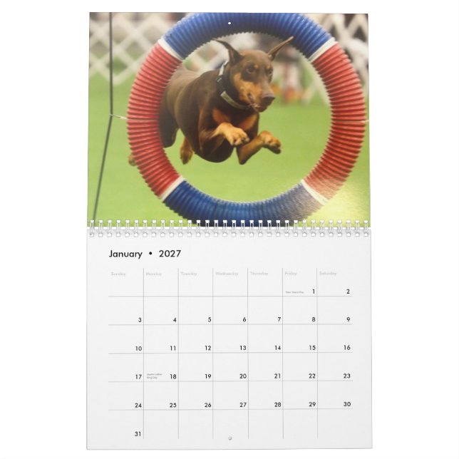 2013 Doberman Calendar-revised Nov Calendar (Jan 2027)