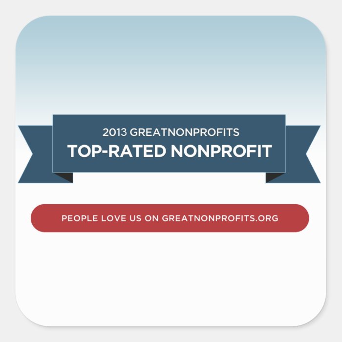 2013 GreatNonprofits Top Rated Award Stickers