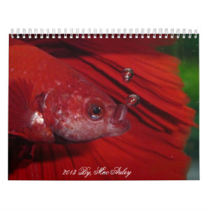 2013 Halfmoon Betta Calendar by Karen Mac Auley