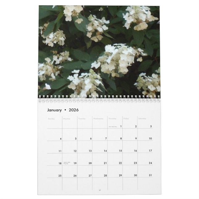 2013 Hydrangea Hues Calendar (Jan 2026)