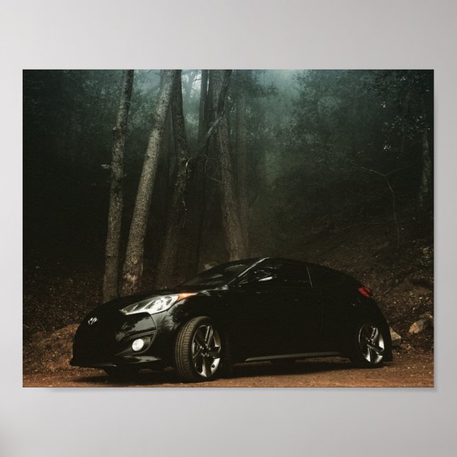 2013 Hyundai Veloster Turbo Poster (Front)