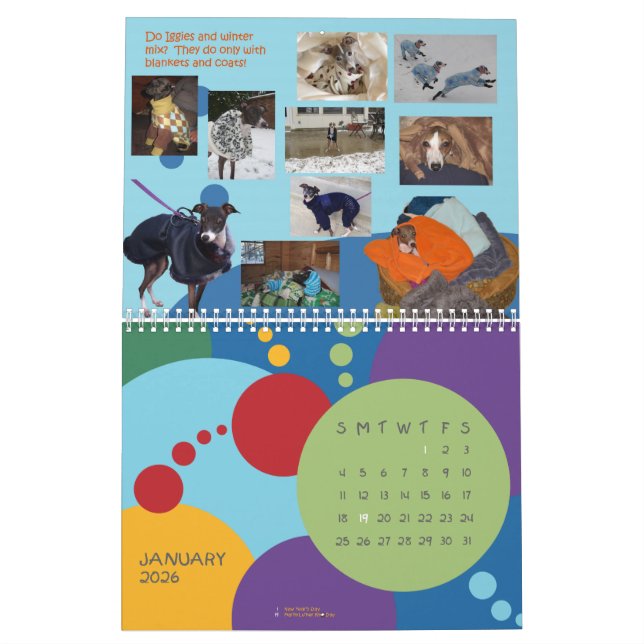 2013 IGWhispers' 2013 Italian Greyhound Calendar (Jan 2026)