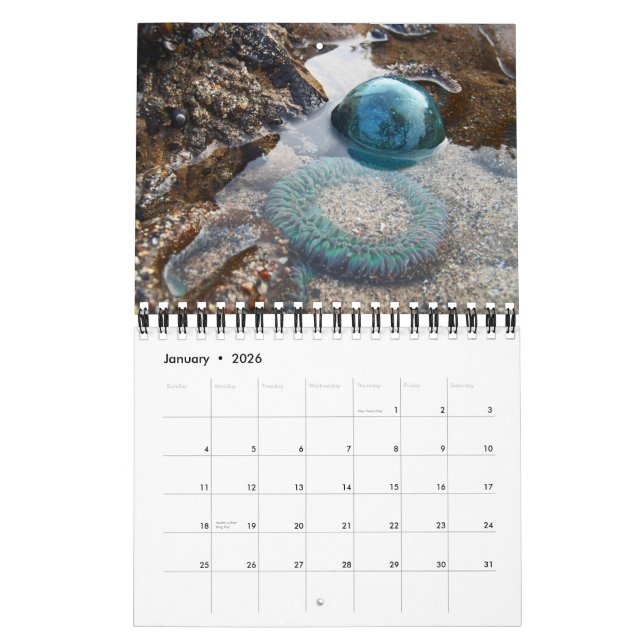 2013 Japanese Glass Float Calendar (Jan 2026)