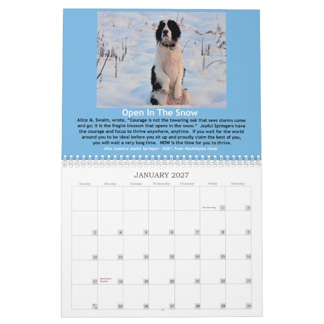 2013 Joyful Springer 12 Month Calendar (Jan 2027)