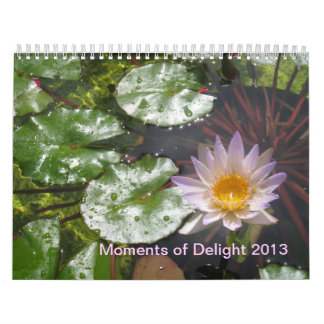 2013 Moments of Delight calendar