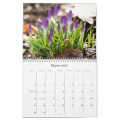 2013 Nature Photography Calendar (Mar 2025)