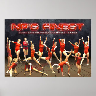 2013 New Palestine Gymnastics Poster